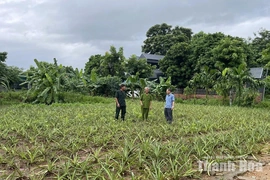 Những cựu chiến binh làm theo lời Bác ở phường Bỉm Sơn