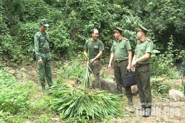 Mô hình “Biên giới bình yên - xã không xuất, nhập cảnh trái phép”