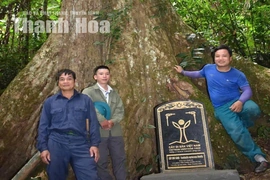 Bảo tồn tính đa dạng sinh học gắn với phát triển du lịch cộng đồng
