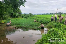 Dầm mưa, xuyên trưa khơi thông các dòng chảy