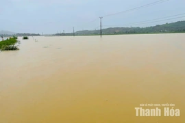 Hàng trăm ha cây trồng ở các xã Vân Du, Kim Tân bị ngập lụt