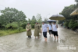Phó Chủ tịch UBND tỉnh Đầu Thanh Tùng kiểm tra, chỉ đạo công tác ứng phó với mưa bão