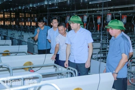 Tạo điều kiện thuận lợi để các dự án chăn nuôi quy mô lớn đi vào hoạt động đúng kế hoạch