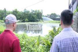 Dừng hoạt động trang trại chăn nuôi vịt tại xã Nông Cống
