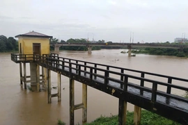 Nước lũ trên sông Bưởi sắp lên mức báo động II