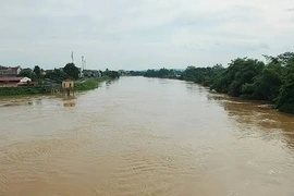 Thanh Hóa: Phát lệnh báo động I trên 3 sông