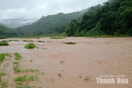 Cảnh báo lũ trên các sông tỉnh Thanh Hóa, nguy cơ ngập lụt vùng trũng thấp