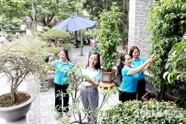 Thêm những ngôi nhà đẹp, khu vườn xanh