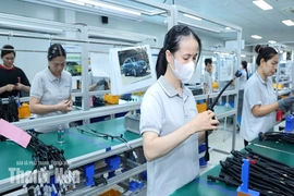 Quản lý rủi ro, đồng hành cùng doanh nghiệp phát triển bền vững