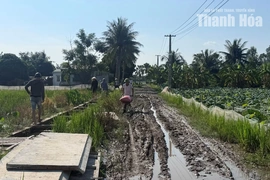 Trật tự, mỹ quan đô thị - Những “cái gai trong mắt”: Khu dân cư Minh Sơn khổ vì đường lầy lội