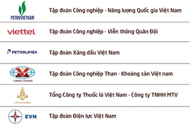Công bố 100 DNNN nộp ngân sách lớn nhất Việt Nam