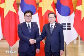 Tạo thêm động lực, nâng tầm hợp tác song phương giữa Việt Nam và Hàn Quốc