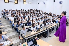 Không kiểm định đồng loạt toàn bộ chương trình đào tạo đại học