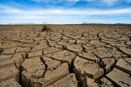 LHQ cảnh báo El Niño có nguy cơ mạnh nhất trong 1.000 năm