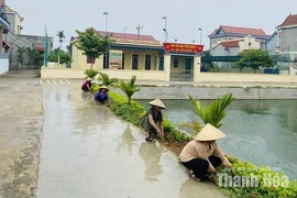 Nâng chất lượng các tiêu chí&nbsp;nông thôn mới