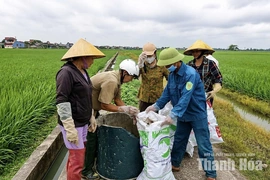 Hội Nông dân Thiệu Tiến&nbsp;chung sức vì môi trường xanh