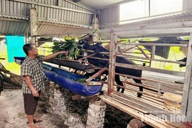 Làm giàu từ mô hình nuôi dê