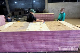 Phát triển kinh tế - xã hội,&nbsp;giảm nghèo bền vững ở vùng đồng bào DTTS