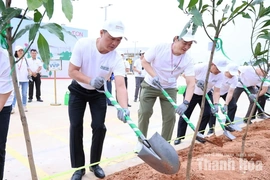Trồng gần 5.000 cây xanh tại Trung tâm thương mại AEON MALL Thanh Hóa