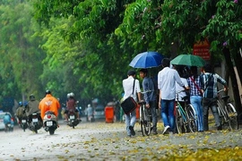 Thanh Hóa: Thời tiết mát mẻ, một số nơi có dông lốc, mưa lớn cục bộ