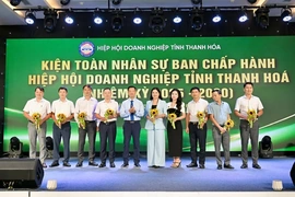 Đổi mới hoạt động, nâng cao vai trò kết nối của Hiệp hội Doanh nghiệp tỉnh