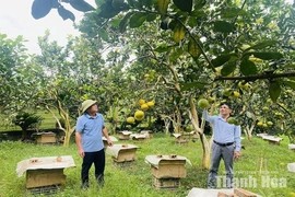 Nghỉ hưu nhưng không nghỉ khát vọng
