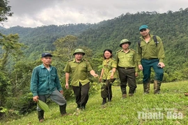 Hạt Kiểm lâm Thường Xuân tăng cường các giải pháp bảo vệ rừng