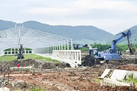 Đẩy nhanh tiến độ các dự án&nbsp;chăn nuôi quy mô lớn