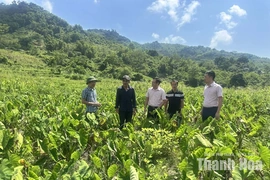 Tiếp sức cho người dân vùng khó