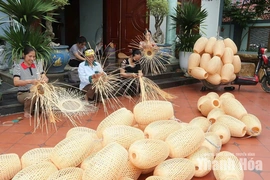 Nguồn vốn vay tiếp sức cho phụ nữ&nbsp;phát triển kinh tế