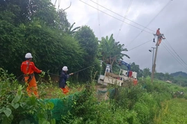 Triển khai các phương án khôi phục cấp điện ngay khi điều kiện an toàn cho phép