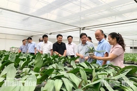 Đoàn công tác Hội Làm vườn Việt Nam làm việc tại Thanh Hóa