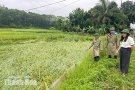 Triển khai các biện pháp ứng phó mưa lớn, ngập lụt và sạt lở