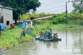 Các vùng nuôi trồng thủy sản chủ động ứng phó với mưa lớn