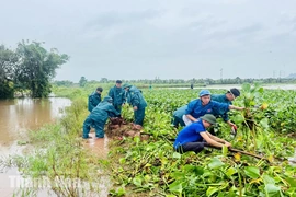 Tuổi trẻ Thanh Hóa hỗ trợ người dân ứng phó với mưa lũ