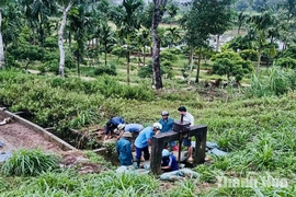 Xã Tây Đô: Mưa lớn làm ảnh hưởng gần 63 ha cây trồng