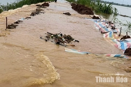 Tràn đê bao sông Cầu Chày