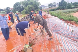 Xã Xuân Tín tập trung khắc phục tình trạng sạt lở mái đê khi nước sông Cầu Chày bắt đầu rút