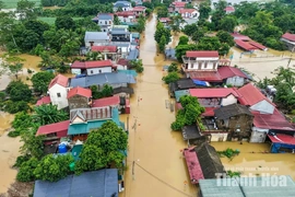 Tin lũ khẩn cấp trên sông Bưởi, sông Yên; cảnh báo lũ trên sông Mã, sông Chu