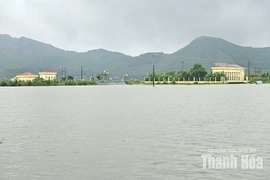 Chủ động ứng phó với mưa lũ tại các địa phương khu vực Nông Cống cũ