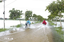 Thời tiết ngày 19/9: Mưa lớn ở nhiều khu vực, miền Trung có nơi mưa rất to