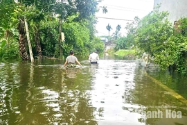 Xã Nông Cống còn 8 thôn ngập sâu, 70 hộ dân bị cô lập