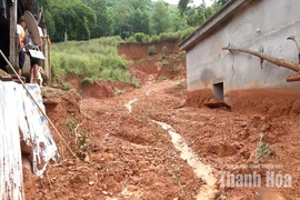 Xã Kim Tân sạt lở đồi Đa Đụn, di dời khẩn cấp 3 hộ dân
