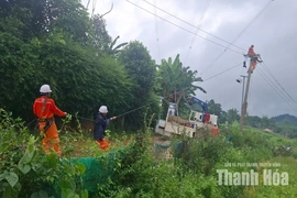 Triển khai các phương án khôi phục cấp điện ngay khi điều kiện an toàn cho phép