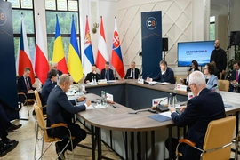 Tổng thống Ukraine chủ trì hội nghị thượng đỉnh “Carpathian Eight”