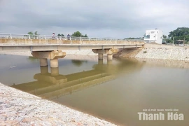 Khơi dòng tiêu úng&nbsp;vùng III Nông Cống