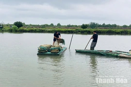 Người nuôi trồng thủy sản&nbsp;khắc phục vùng nuôi sau mưa lũ