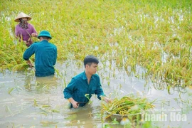 Xây dựng thế trận quốc phòng vững chắc từ cơ sở