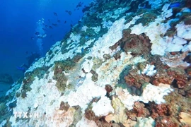 Thế giới chậm tiến độ trong mục tiêu bảo vệ 30% thiên nhiên vào năm 2030