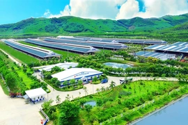 50 năm Vinamilk: Khi “đạt chuẩn” chưa phải là điểm dừng